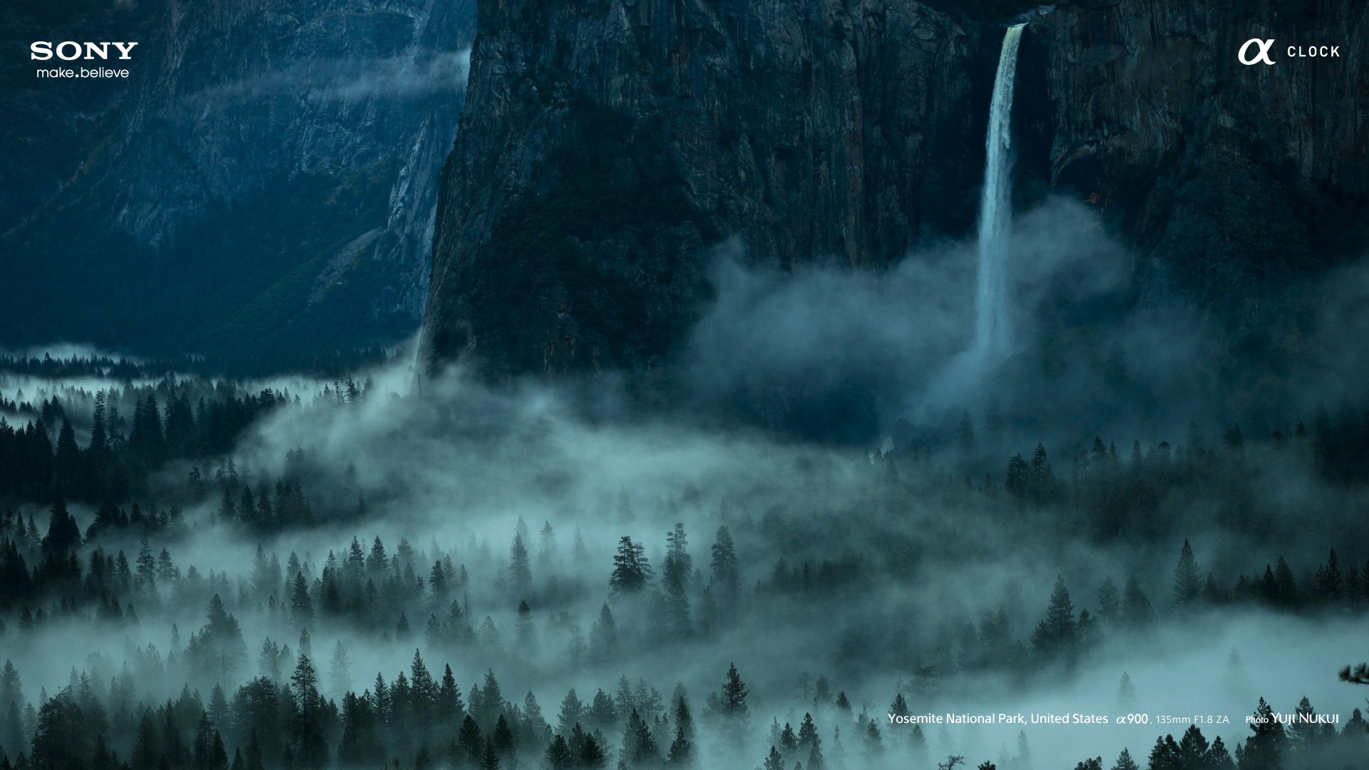 Yosemite fog