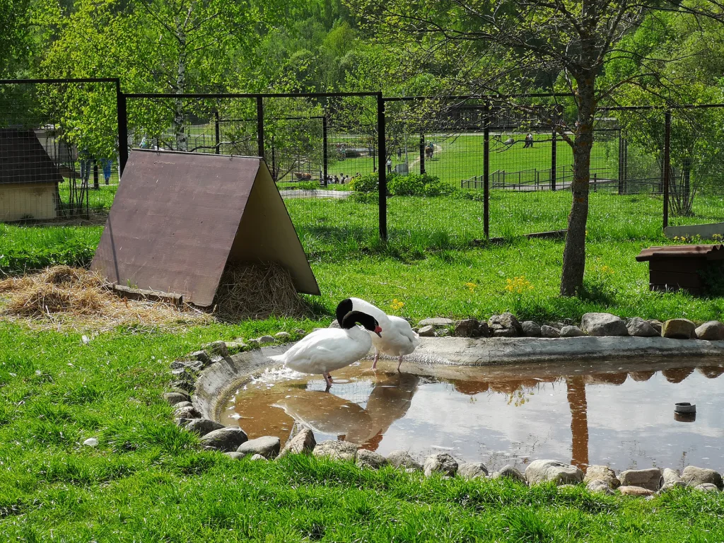 3-кратный зум Huawei P20 Pro