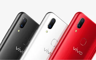 Купить Vivo X21