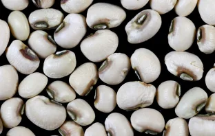 Рецензия на альбом Black Eyed Peas — Translation