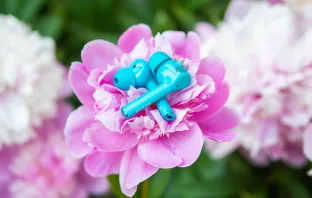 Обзор HONOR Magic Earbuds — сочные наушники с активным шумоподавлением
