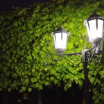 LG G4 Ночная съемка (фонарь)