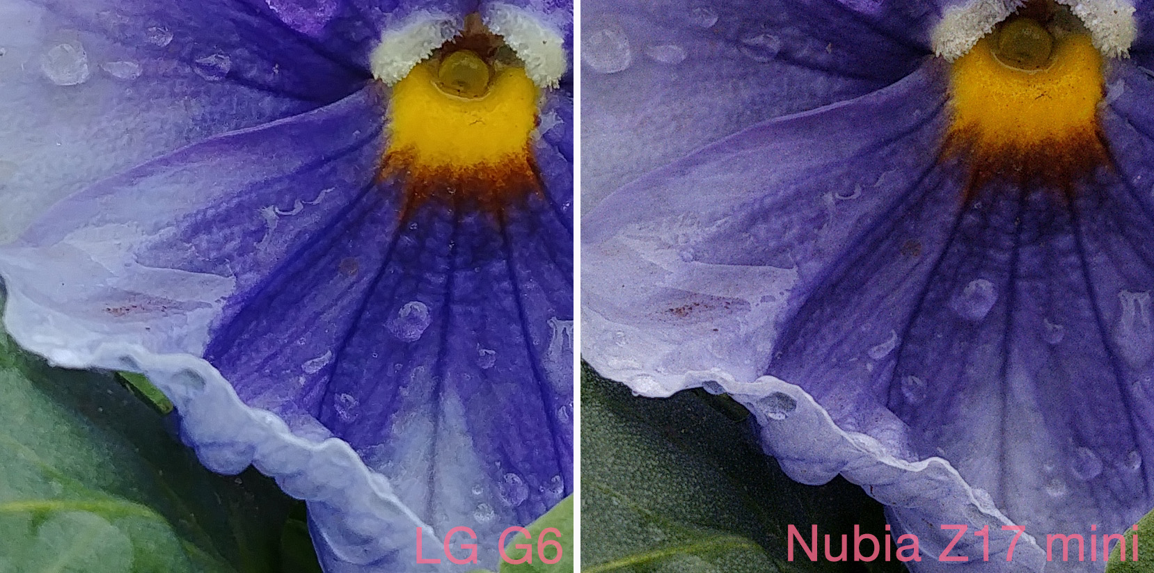 100-процентные кропы с фотографий, снятых на LG G6 и Nubia Z17 mini