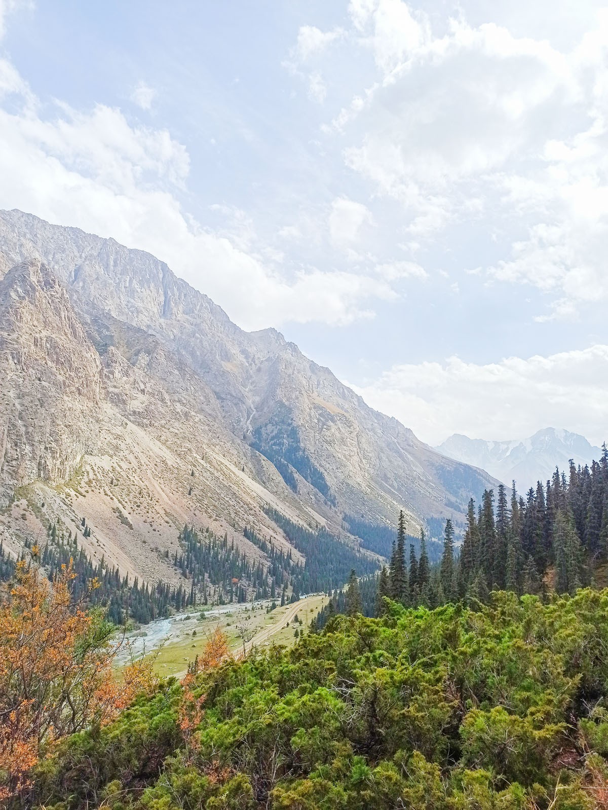Ущелье Барксоон Киргизия Фото 2022